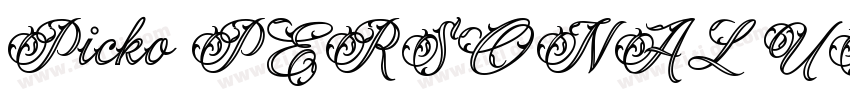 Picko PERSONAL USE O字体转换